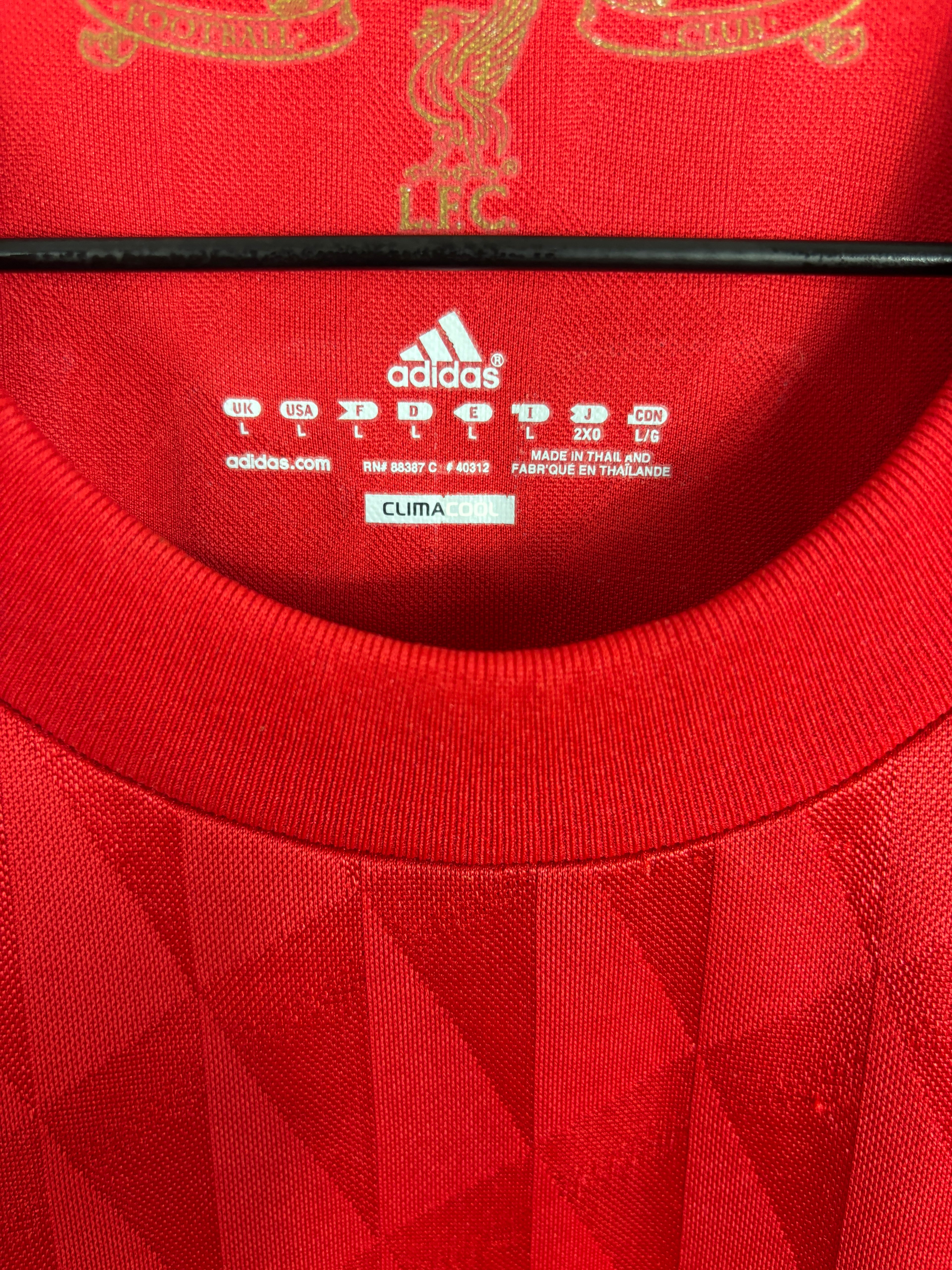 LIVERPOOL 2010/11 TORRES #9 HOME SHIRT (L) ADIDAS